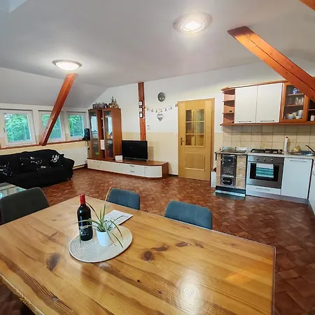 Apartma Pohorc - Kostanj Хочко Погорье
