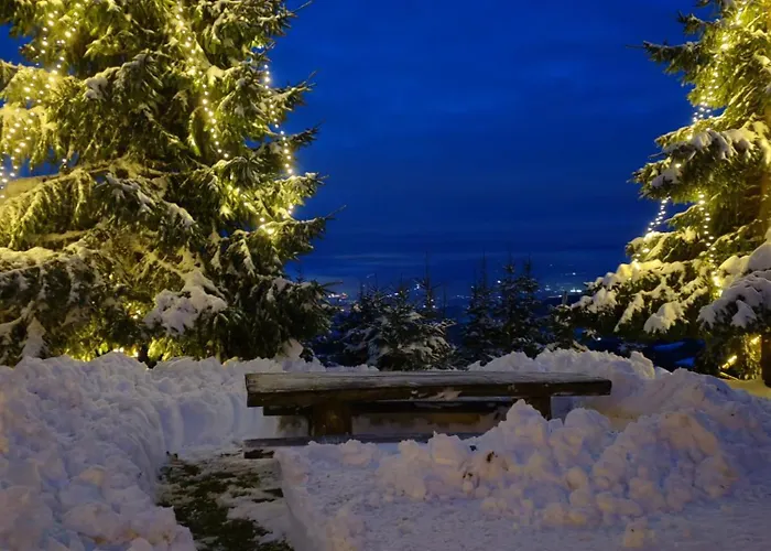 Apartma Pohorc - Kostanj